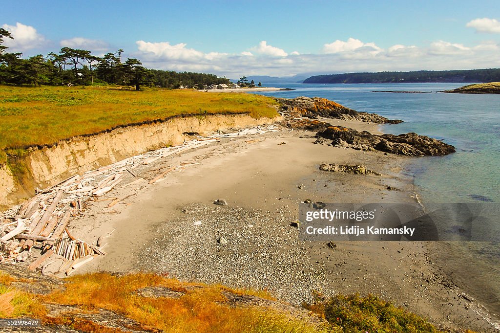 Beach at Cattle Point