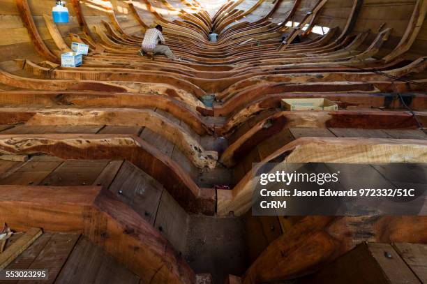 Segmented Timber Ribs Rib Cage Pattern Photos and Premium High Res Pictures - Getty Images