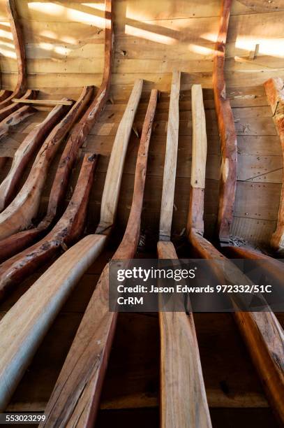 Segmented Timber Ribs Rib Cage Pattern Photos and Premium High Res Pictures - Getty Images