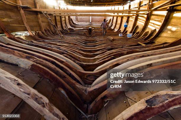 Timber Rib Structures Rib Cage Pattern Photos and Premium High Res Pictures - Getty Images