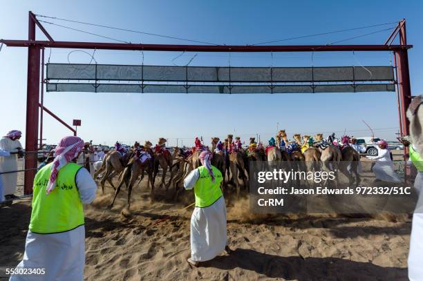 Track Racing Officials 1,348 Gateway Sports And Entertainment Complex Stock Photos, High-Res ...