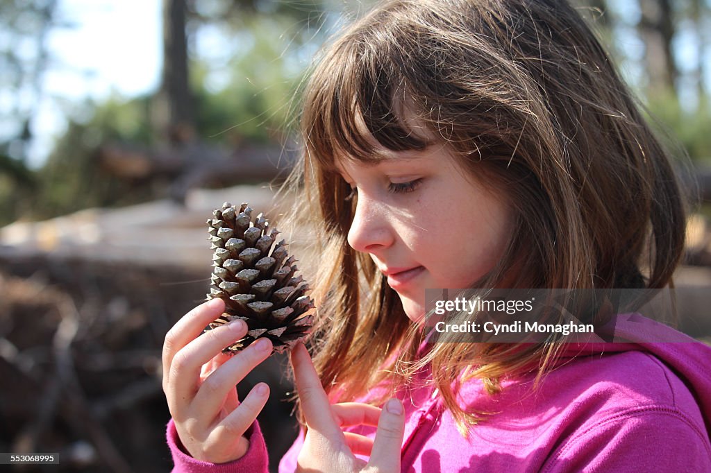 Girl Looking at Pinecone