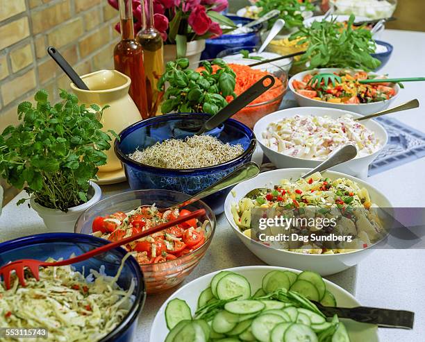 vegetarian buffet - buffet stockfoto's en -beelden