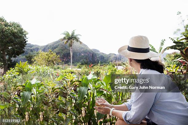 female tourist looking over valley at viñales - viñales vallei stockfoto's en -beelden