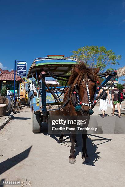 horse carriage in gili trawangan harbor - gili trawangan stockfoto's en -beelden