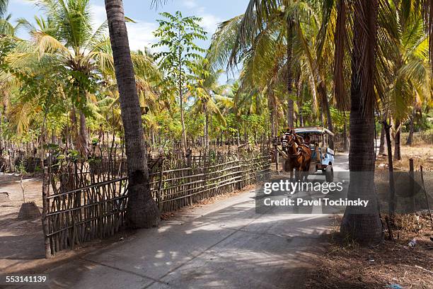 horse carriage on gili trawangan - gili trawangan stock pictures, royalty-free photos & images