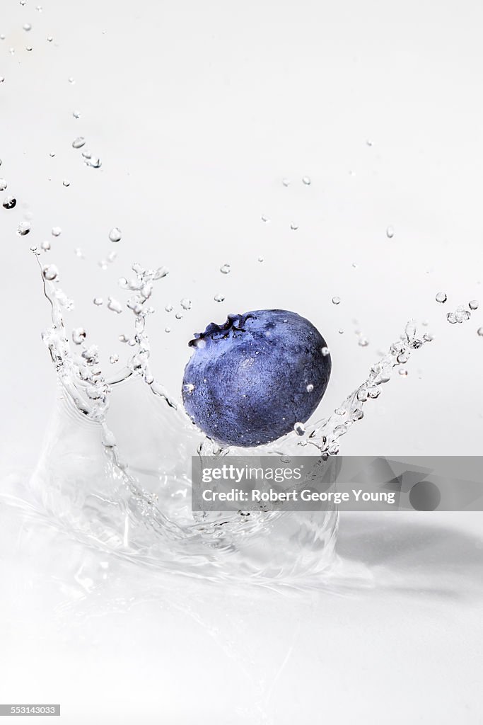 Blue Raspberry Falling Closeup Blueberry Falling And Creating A Splash High-Res Stock Photo ...