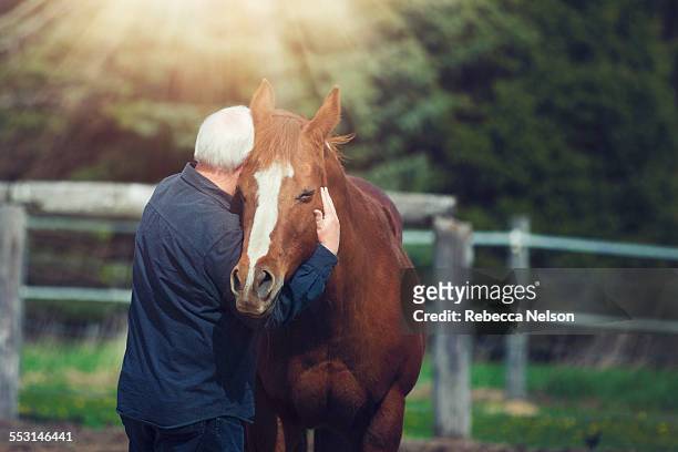 senior man hugging horse - holding horse stockfoto's en -beelden