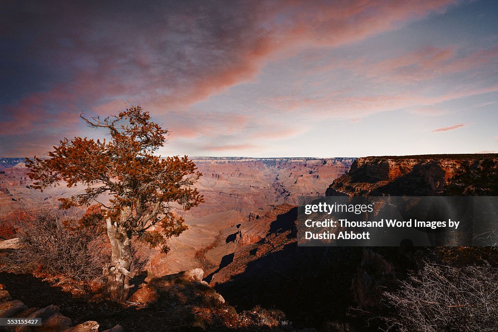 The Grandest of Canyons