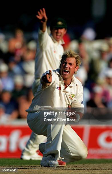 Shane Warne of Australia appeals unsuccessfully during day one of the fifth npower Ashes Test match between England and Australia at the Brit Oval on...