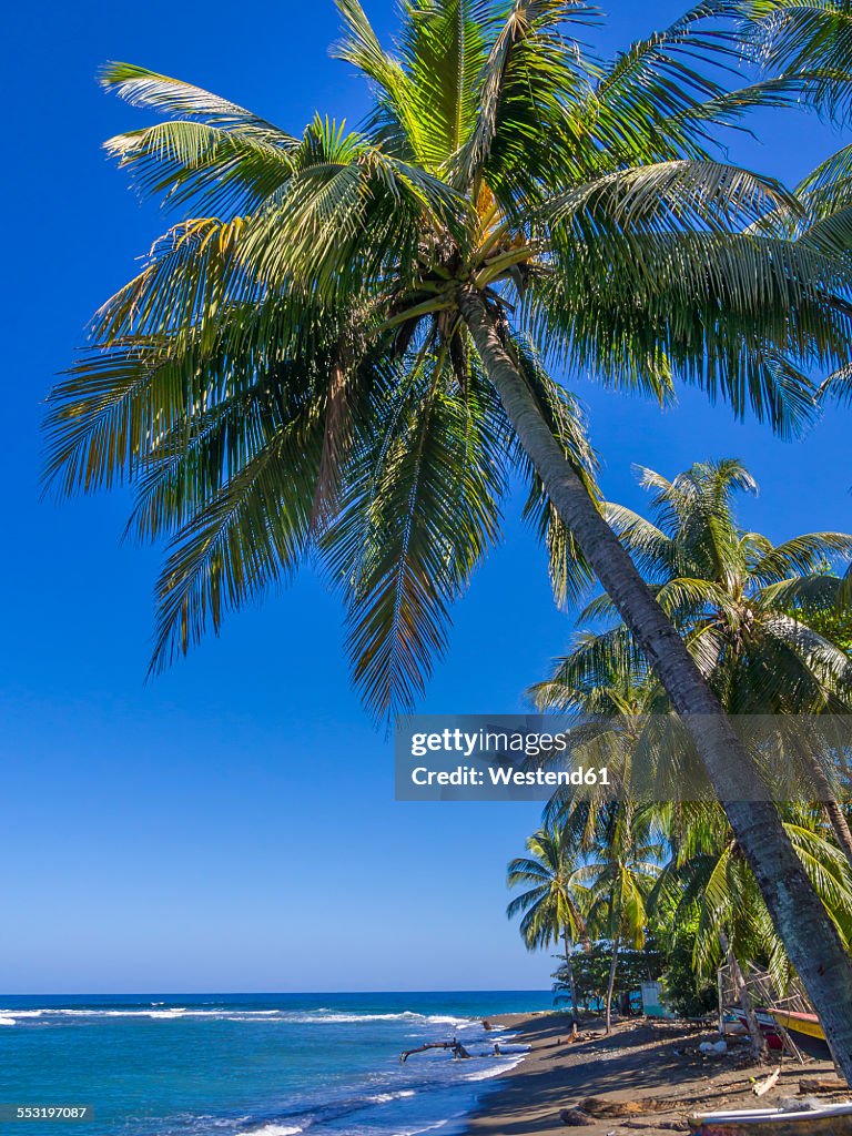 Caribbean, Jamaica, view over the Buff Bay