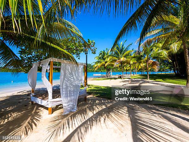 jamaica, port antonio, errol flynn marina, sunbed under palms - port antonio jamaica stock pictures, royalty-free photos & images