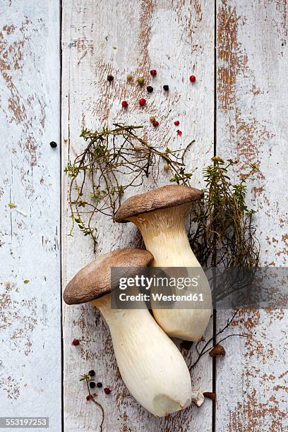 king trumpet mushrooms, thyme and peppercorns on wood - king trumpet mushroom - fotografias e filmes do acervo