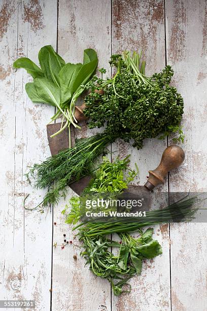 herbs of frankfurt green sauce and mezzaluna - sauerampfer stock-fotos und bilder