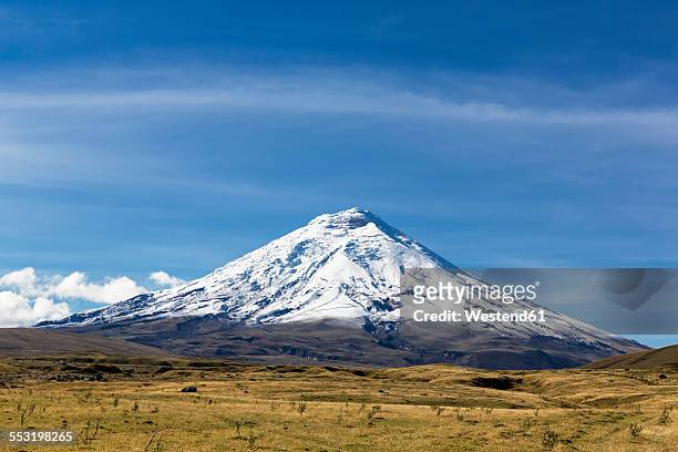 south america, ecuador, andes volcano cotopaxi, cotopaxi national park - ecuador fotografías e imágenes de stock