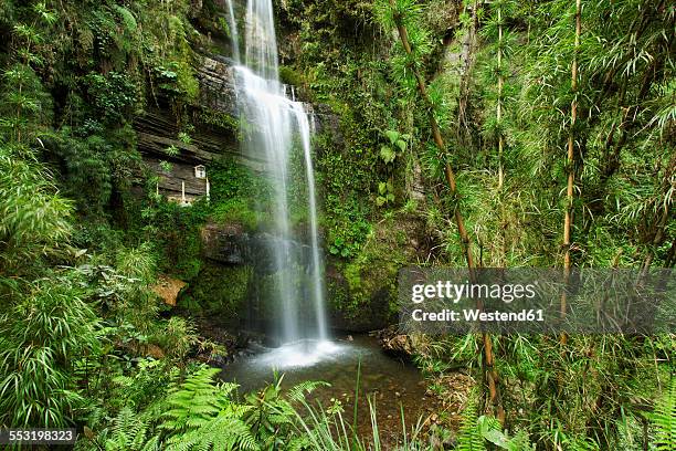 colombia, cundinamarca, las tapias, waterfall el chiflon - cundinamarca stock-fotos und bilder