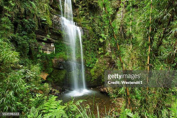 colombia, cundinamarca, las tapias, waterfall el chiflon - cundinamarca stock pictures, royalty-free photos & images