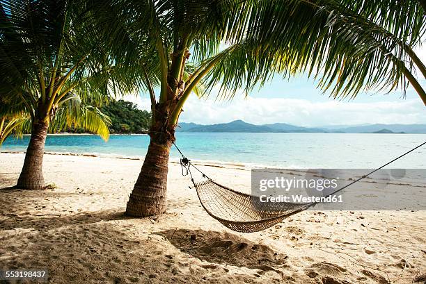 philippines, palawan, hammock and palms on a beach near el nido - palawan stock-fotos und bilder