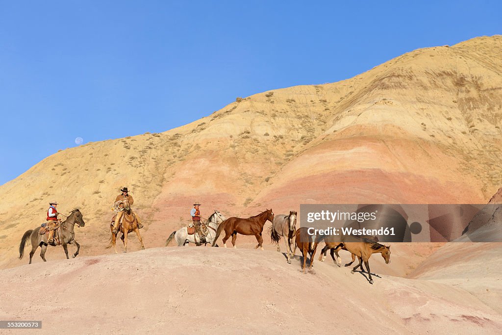 USA, Wyoming, cowboys and cowgirl herding horses in badlands