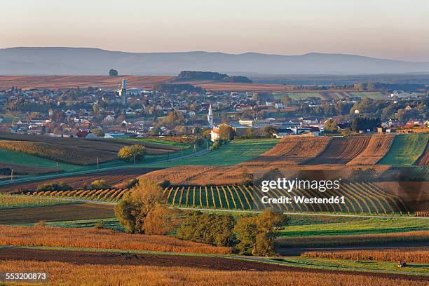 austria, burgenland, oberpullendorf district, neckenmarkt, in autumn - burgenland - fotografias e filmes do acervo