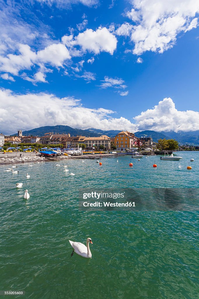 Switzerland, Vevey, Lake Geneva, townscape with swan