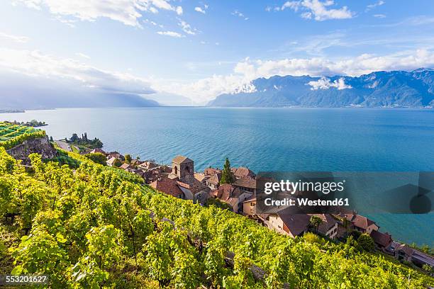 switzerland, lavaux, lake geneva, wine-growing area saint-saphorin - kanton waadt stock-fotos und bilder