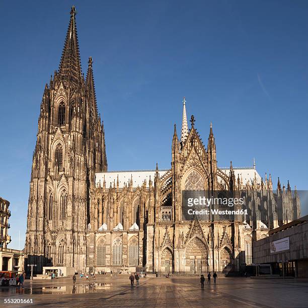 germany, cologne, cologne cathedral in sunlight - koln 個照片及圖片檔