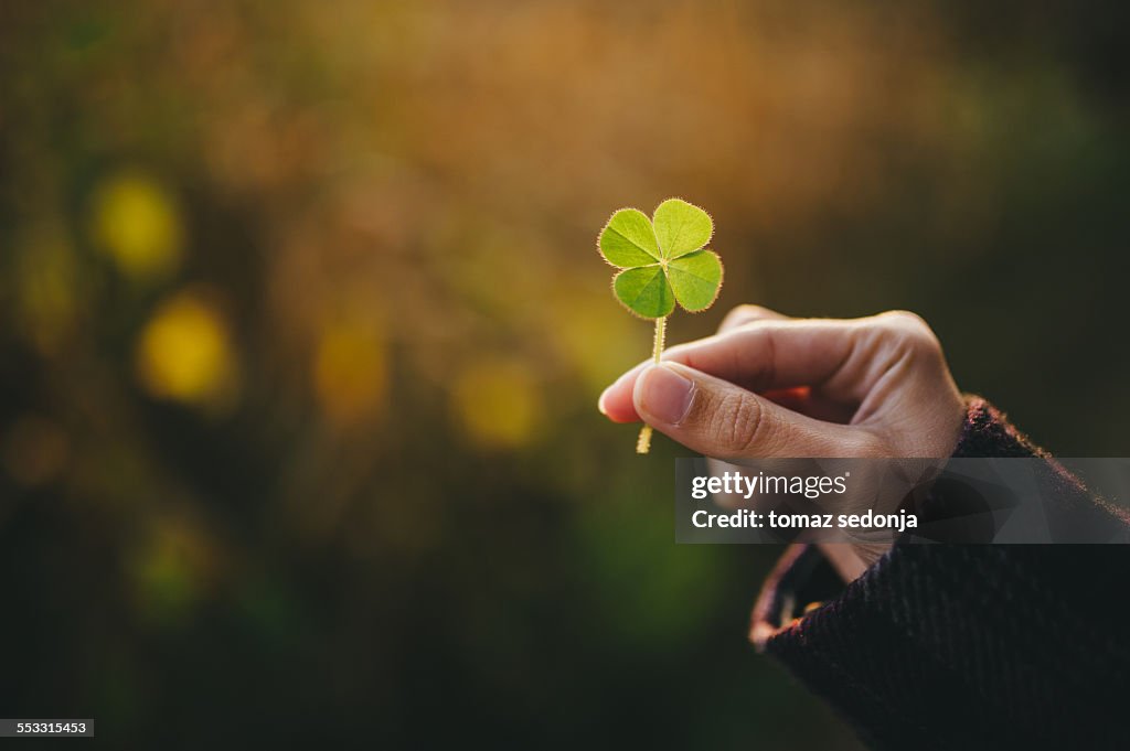 Holding a four-leaf clover