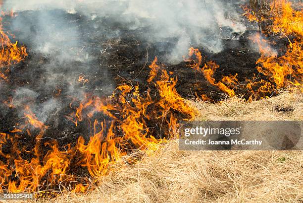 prairie fire - incineration plant stock pictures, royalty-free photos & images