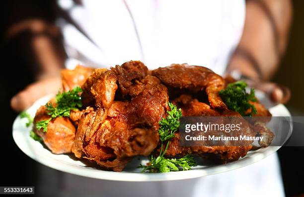 southern fried chicken - fried chicken plate stock pictures, royalty-free photos & images
