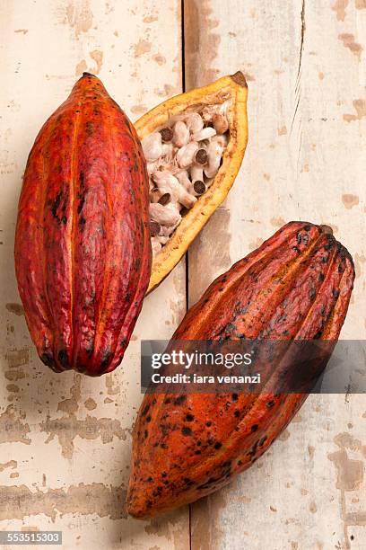 fruit - bolster stockfoto's en -beelden