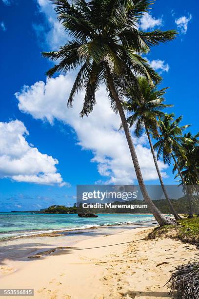 Playa Ryncon 103 Playa Rincon Stock Photos, High-Res Pictures, and Images - Getty Images