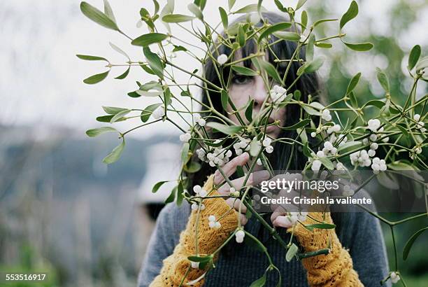 woman with bunch of mistletoe - mistel stock-fotos und bilder