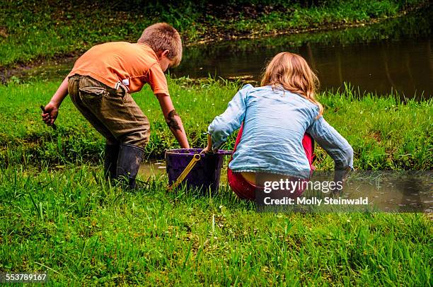 a boy and girl explore the edge of a pond in oxford oh - molly steinwald stock pictures, royalty-free photos & images