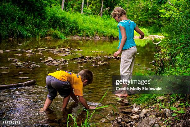 a boy and girl play in the four mile creek in oxford oh - molly steinwald stock pictures, royalty-free photos & images