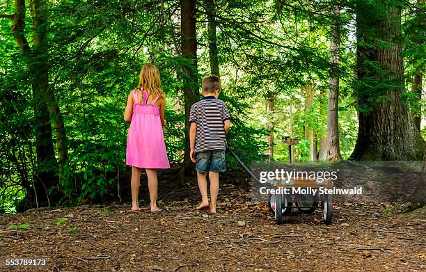 a boy and girl walk in the woods witha wagon at koosier state park pa during the summer - molly steinwald stock pictures, royalty-free photos & images
