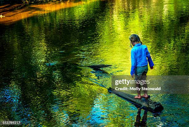 a girl walks on a submerged log near hiawatha national forest mi. - molly steinwald stock pictures, royalty-free photos & images