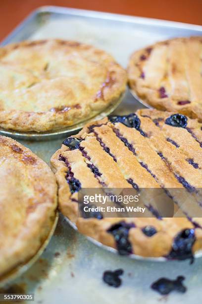 freshly baked fruit pies at a bakery in boulder, colorado. - bouldern indoor stock pictures, royalty-free photos & images
