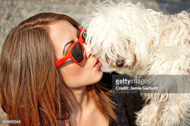portrait of female kissing a puppy - chinese crested powderpuff stock pictures, royalty-free photos & images