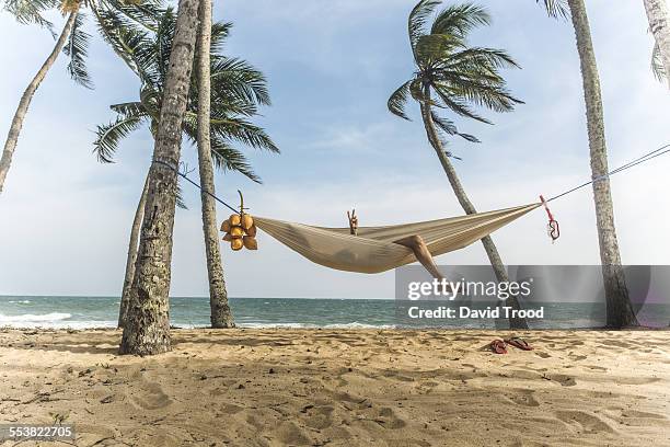 man relaxing in hammock. - hammock foto e immagini stock