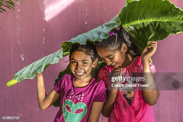 local sri lankan girls shelter from the rain. - sri lankan ethnicity stock pictures, royalty-free photos & images
