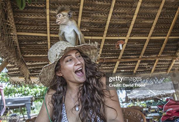 young woman laughing with monkey on her head. - macaco antropoide imagens e fotografias de stock