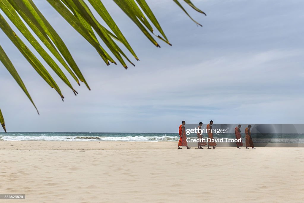 Buddhist monks walking on the beach. in Sri Lanka