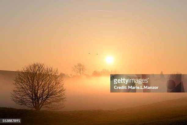 sunrise - yvelines stock pictures, royalty-free photos & images