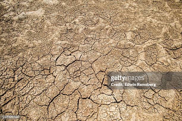 dry desert soil - öde landschaft stock-fotos und bilder
