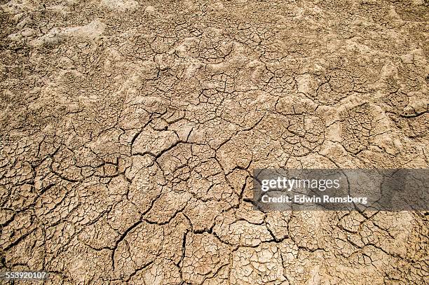 dry desert soil - árido fotografías e imágenes de stock