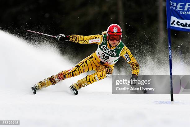 Brigitte Acton of Canada in action during the Womens Giant Slalom at the FIS Alpine World Ski Championships 2005 on February 8, 2005 in Bormio, Italy.