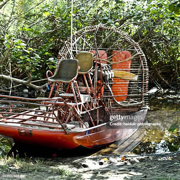 sumpfboot in den everglades - barco de pântano imagens e fotografias de stock