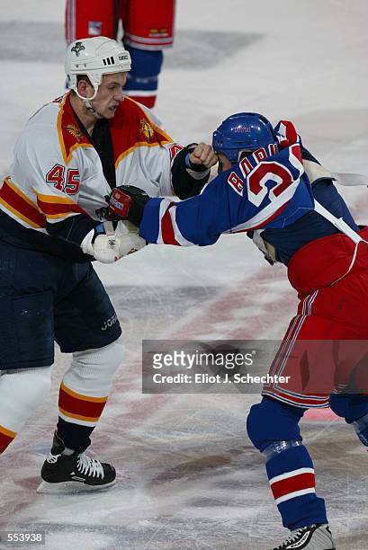 Brad Ference of the Florida Panthers hits Matthew Barnaby of the New York Rangers during the game at National Car Rental Center in Sunrise, Florida....