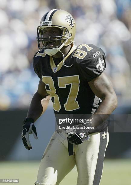 Joe Horn of the New Orleans Saints argues with the referee during the game against the Carolina Panthers at Bank of America Stadium on September 11,...